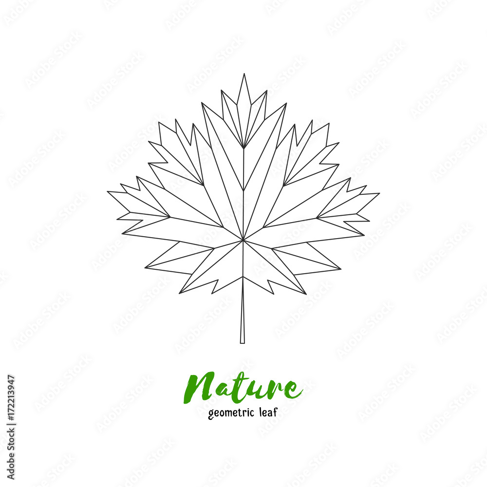 Vector geometrical maple leaf. Illustration for greeting cards, invitations, and other printing projects