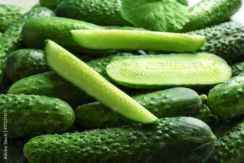 Many green fresh cucumbers as background Many green fresh cucumbers as background