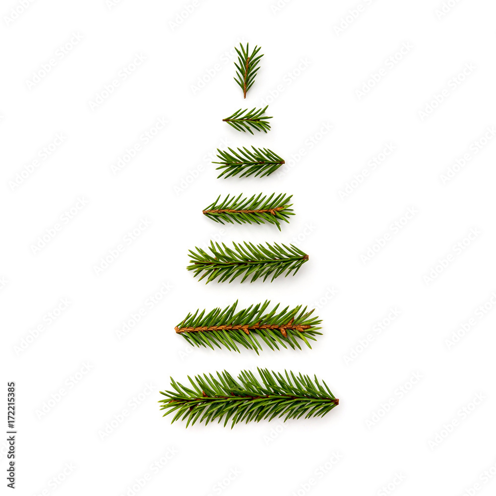symbol Christmas tree from a fir branches on white background Stock