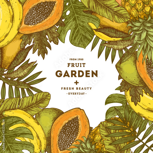 Fresh fruit background. Tropical fruit design template. Vector illustration