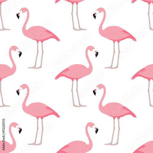 Flamingo seamless pattern © StockVector