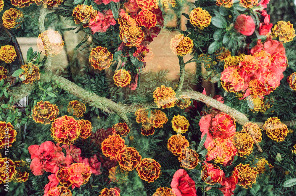 Double exposure of colorful flower garden Double exposure of colorful flower garden