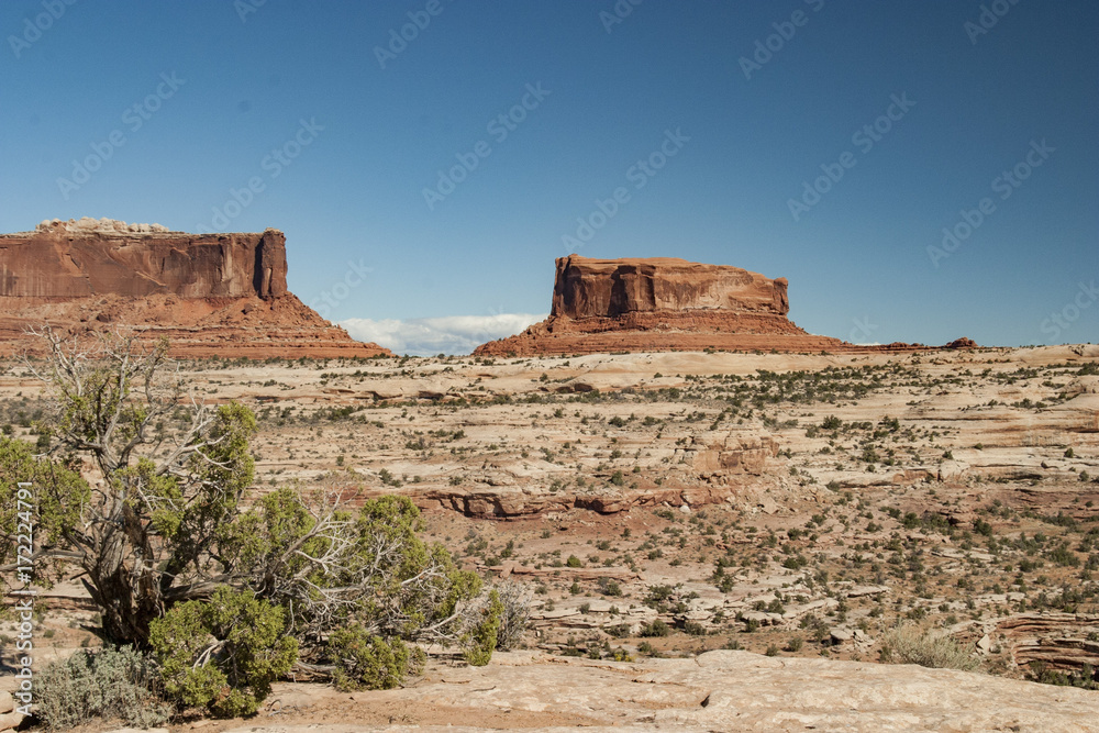 Mesa and Canyons define the view of Island in the Sky in Canyonland National Park near Moab Utah