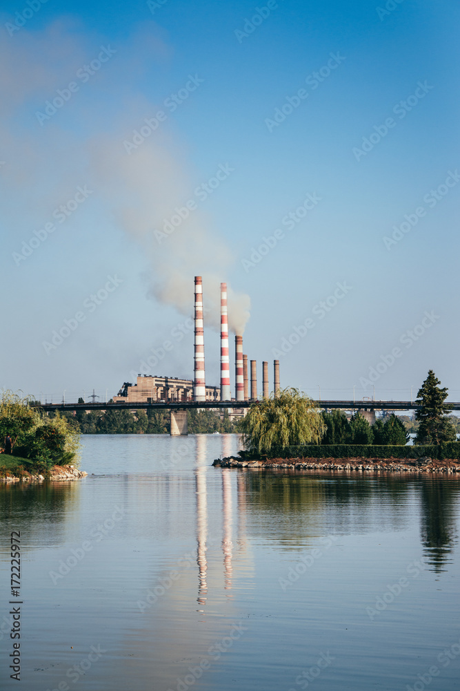 Plant on the river