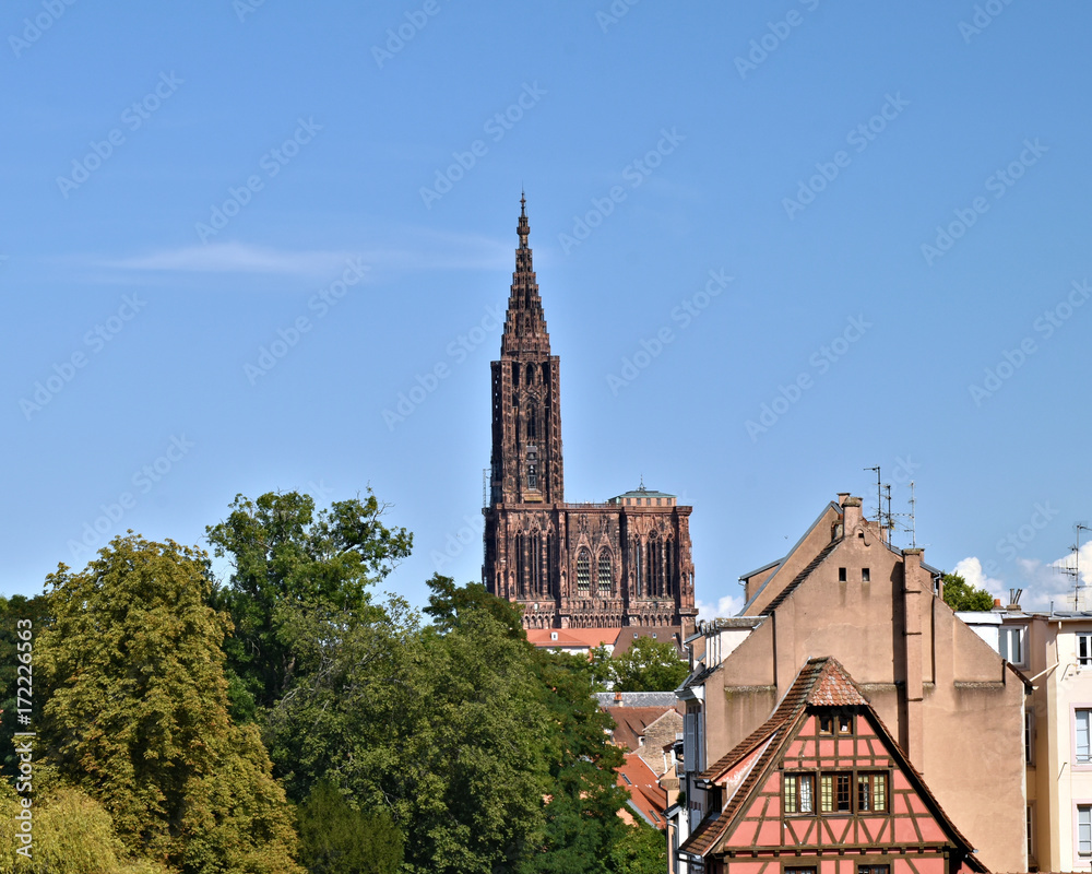 Straßburg, Elsaß, Frankreich, Europa / Strasbourg, Alsace: Münster (Altstadt)