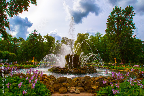 Quadro su tela Park with fountains in Peterhof