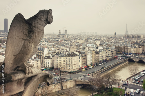 Observation from Cathedrale Notre-Dame de Paris