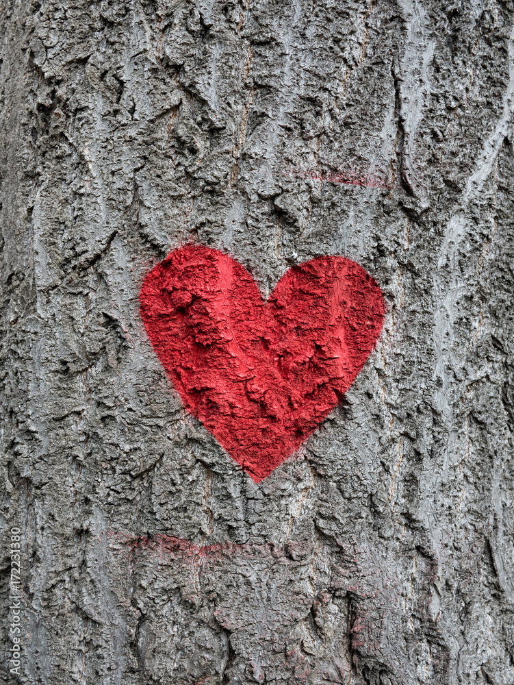Close-up of red heart painted on a tree trunk Close-up of red heart painted on a tree trunk
