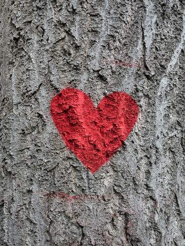 Close-up of red heart painted on a tree trunk