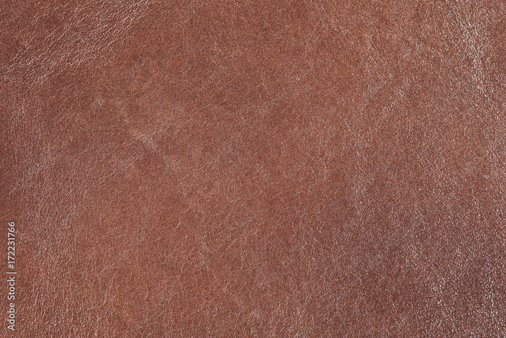 High resolution texture. Background. Skin. High resolution texture. Background. Skin.