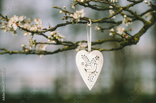 White metal heart with a dove motif hanging in a blossom tree photo