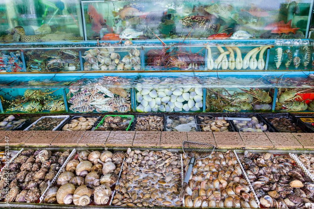 Obraz premium Seafood Market Fish Tanks in Sai Kung, Hong Kong