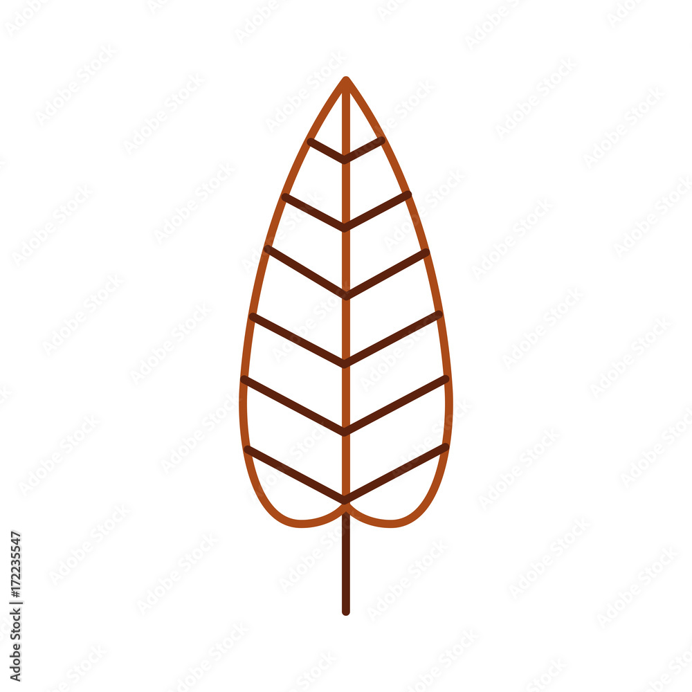 autumn leaf season natural foliage flora vector illustration