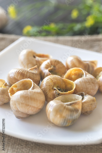 Bowl of cooked snails