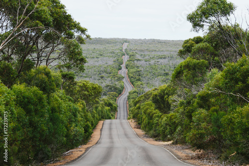 winding road on kangaroo island
