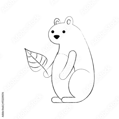 autumn season squirrel leaf natural forest vector illustration