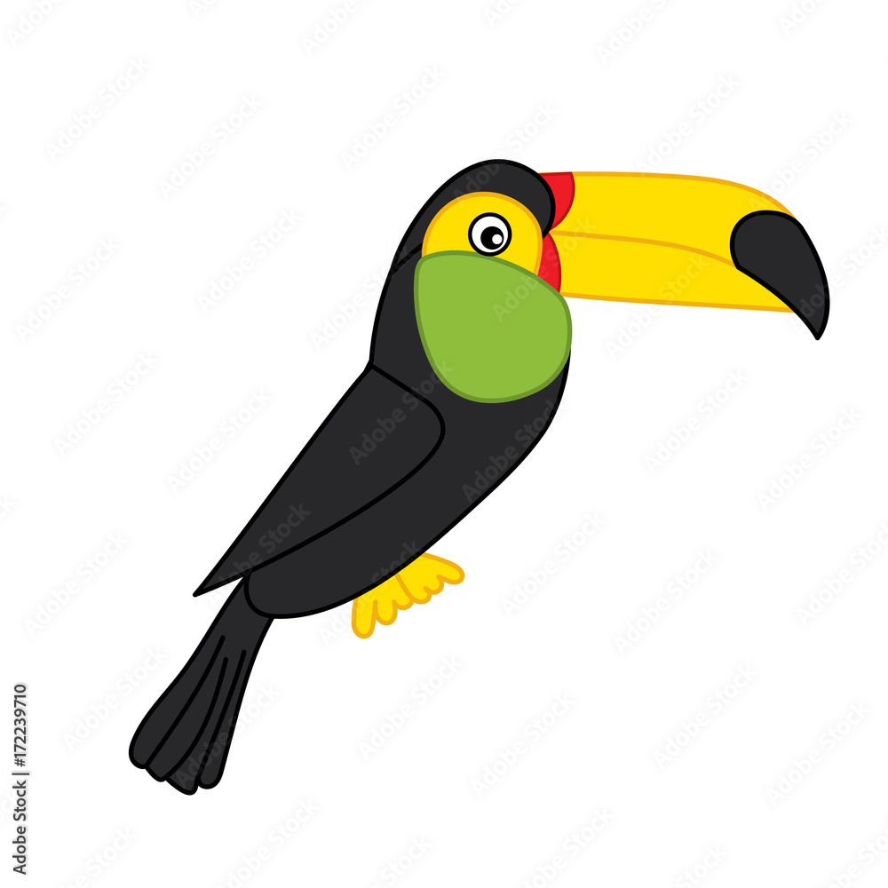 Fototapeta premium Vector Cute Cartoon Toucan