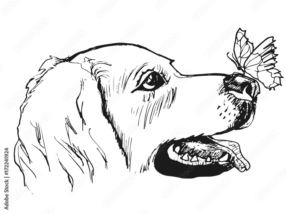 Собака с бабочкой на носу Векторный объект Stock | Adobe Stock