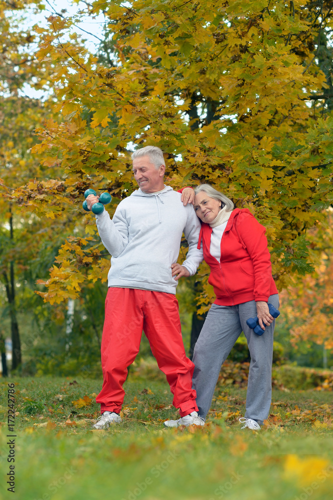 Fototapeta premium fit senior couple exercising