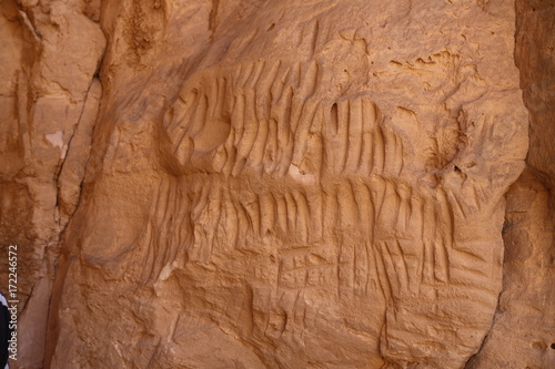 Prehistoric art ِAlgeria © Mussa