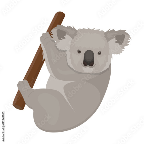 Kuala, marsupial bear on a branch of eucalyptus. Wild mammal of koala single icon in cartoon style vector symbol stock illustration web.