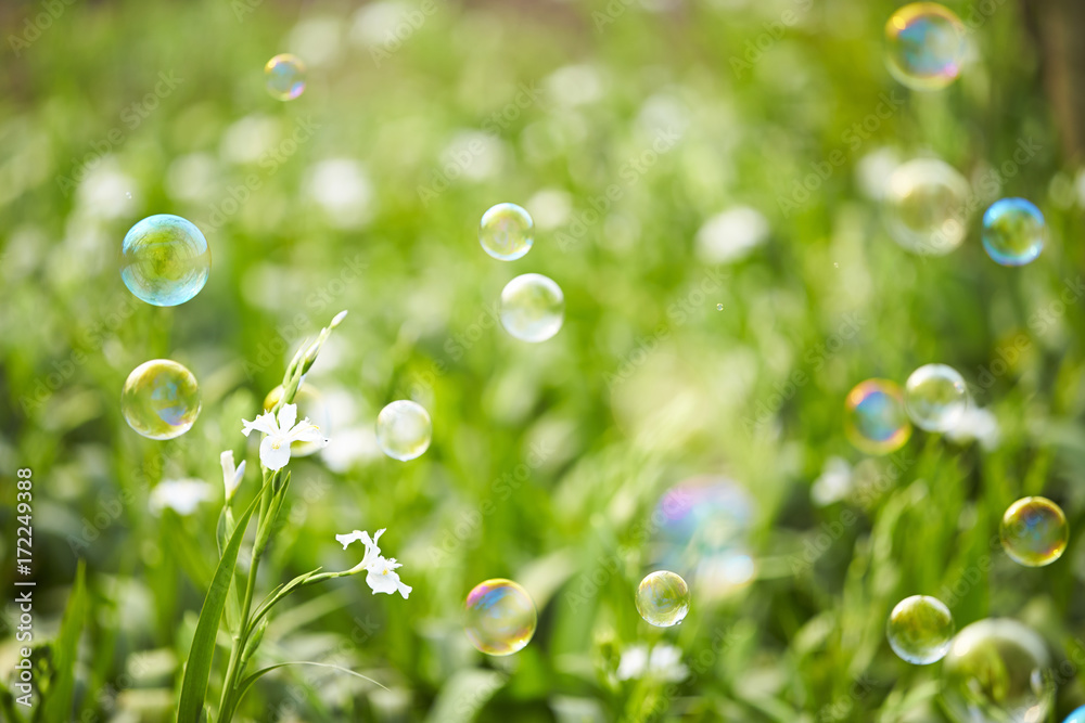 Bubbles flying in the spring field Bubbles flying in the spring field