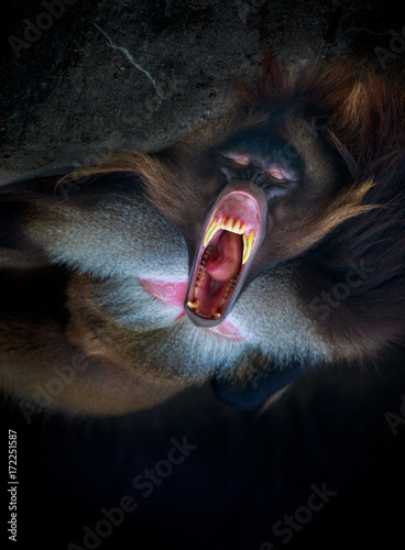 Howling at demons