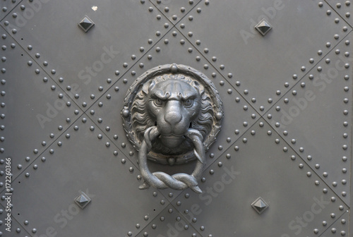 löwe türknauf tür hintergrund