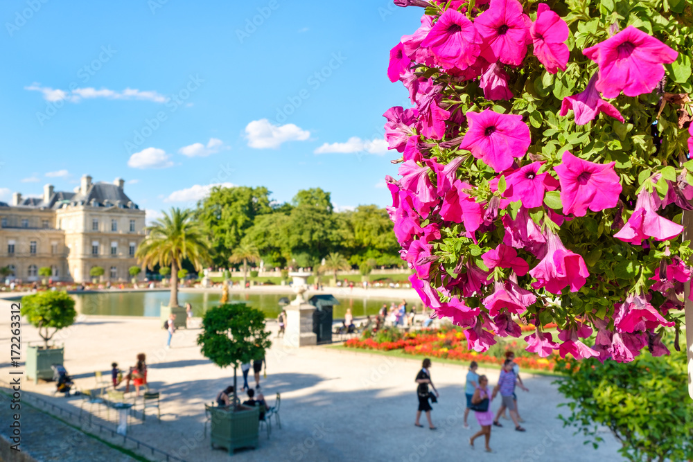 Beautiful flowers at the Luxembourg Garden in Paris