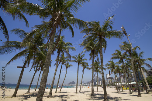 Fototapeta Naklejka Na Ścianę i Meble -  Coconut trees in Copacabana Beach Rio de Janeiro Brazil