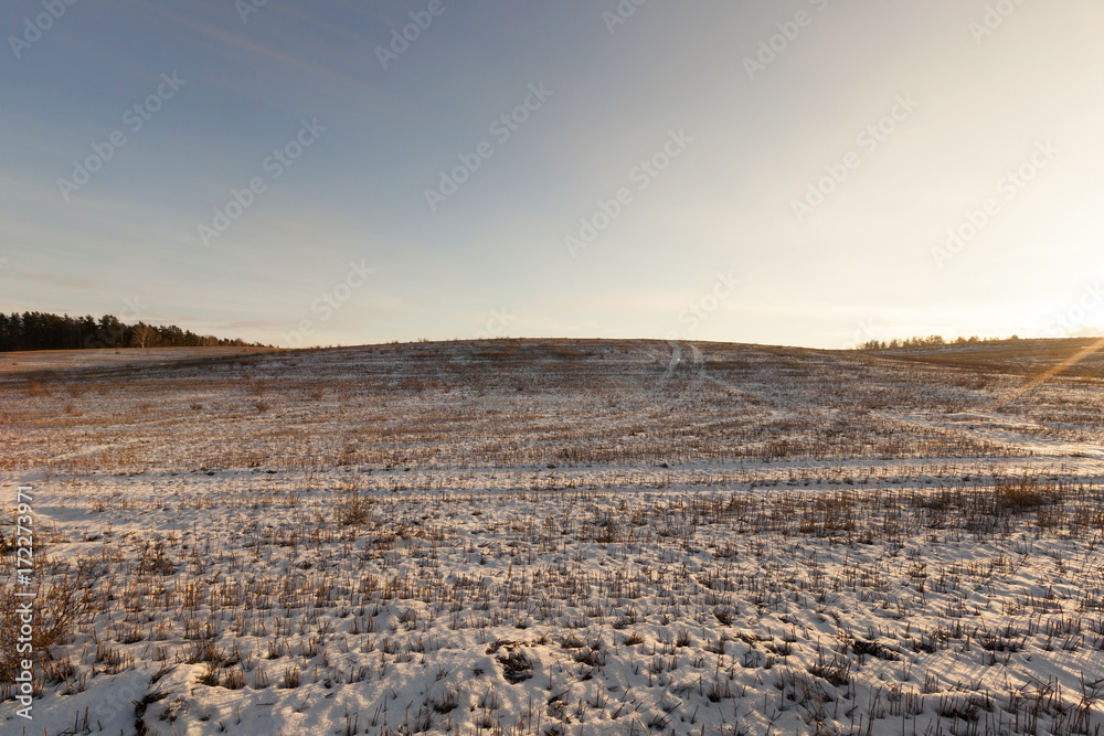 Agricultural field covered by snow