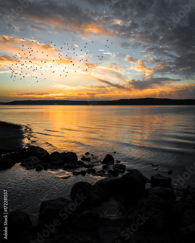 Birds at Sunset