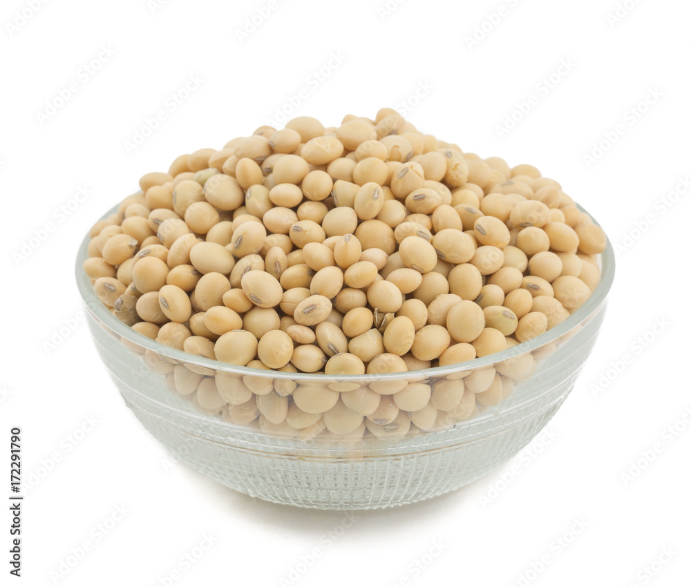 Soya Bean Soya Bean
