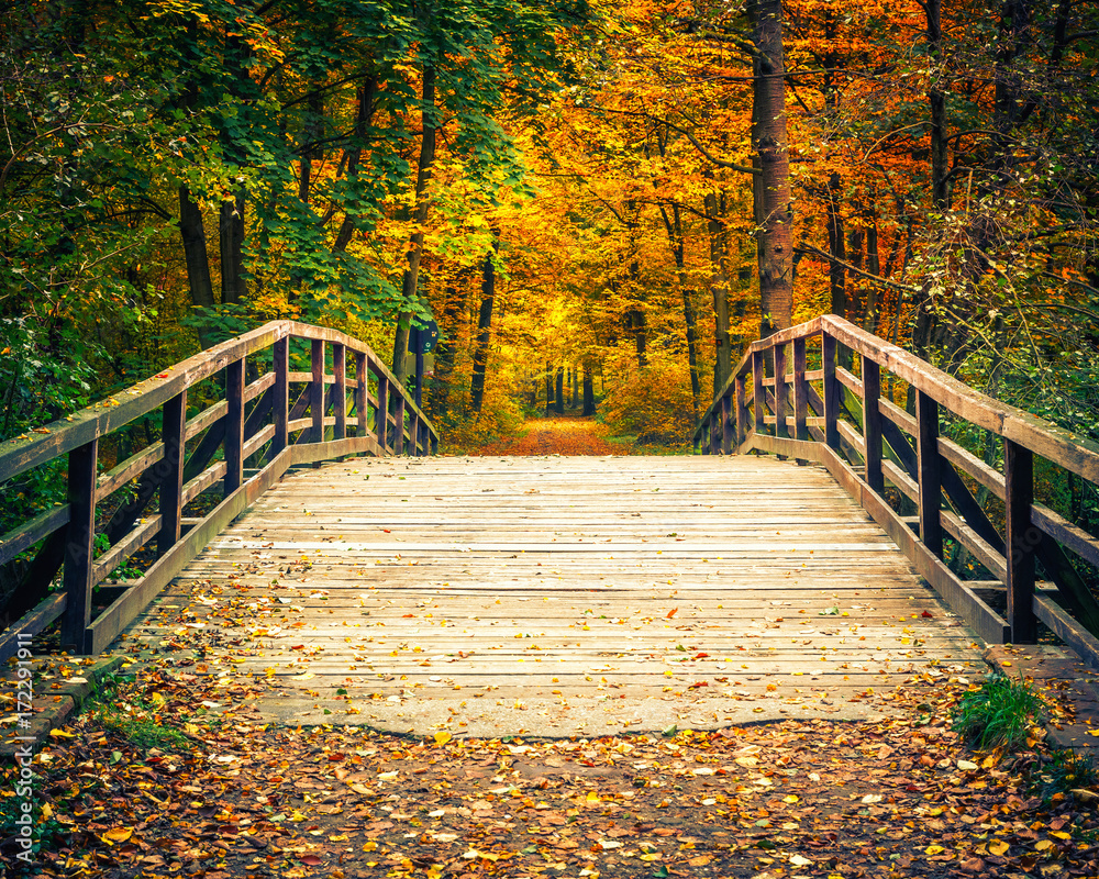 Fototapeta Wooden bridge in the autumn forest