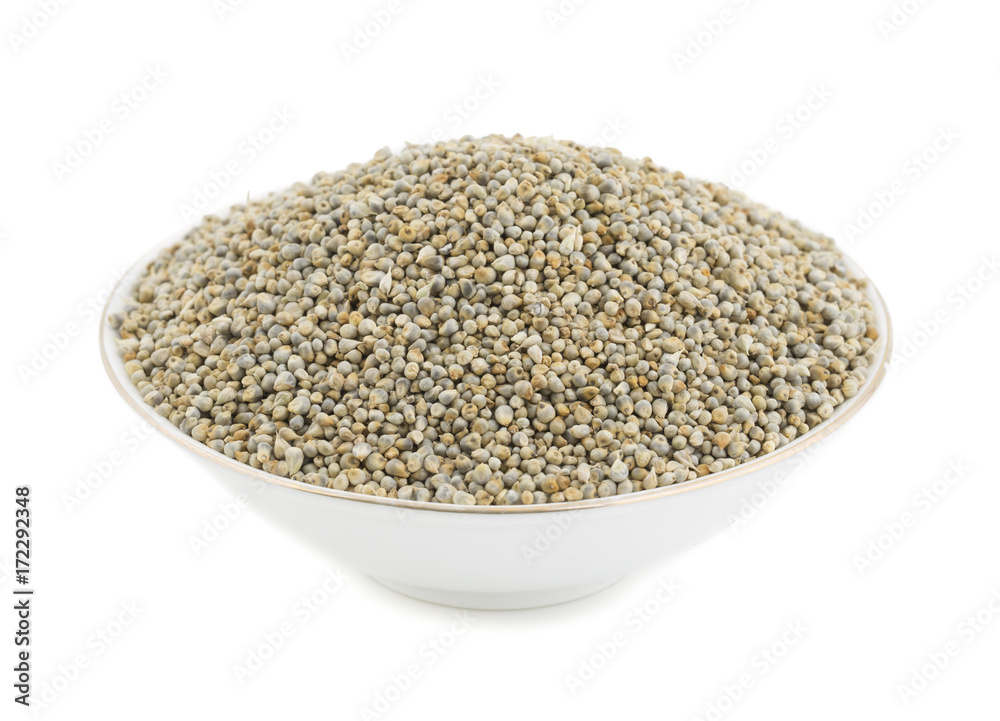 Pearl Millet or Bajra Pearl Millet or Bajra