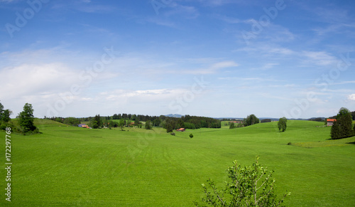 great meadow in allgäu © Tom-W-Photography