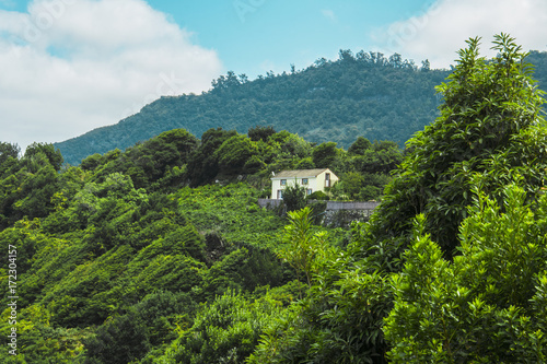 valle monte madeira