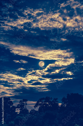 Sky with clouds and moon above silhouettes of trees. Serenity nature background.