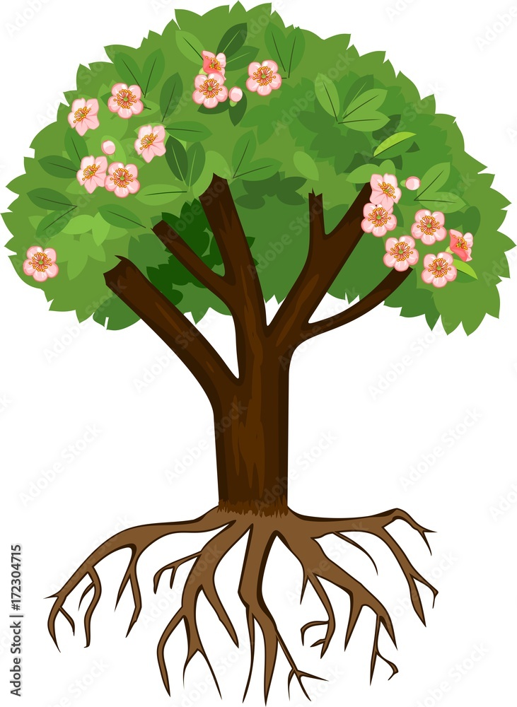 Naklejka premium Tree with pink flowers and green leaves on white background