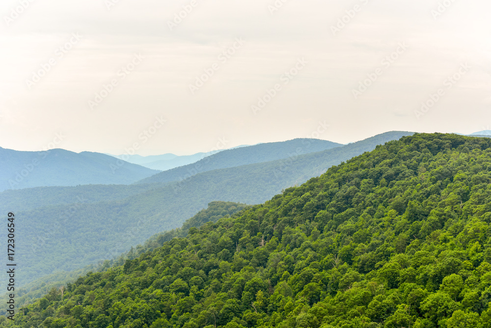 Shenandoah National Park - Virginia Shenandoah National Park - Virginia