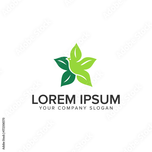 bird leaf Logo design concept template