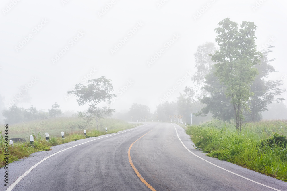 asphalt road and fog