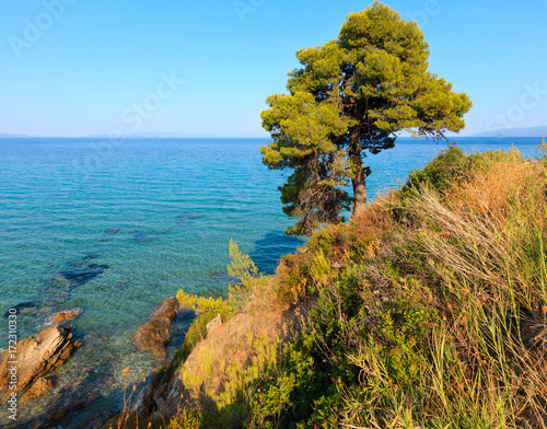 Fototapeta Naklejka Na Ścianę i Meble -  Summer sea coast (Halkidiki, Greece).