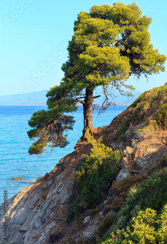 Fotografía Summer sea coast (Halkidiki, Greece).