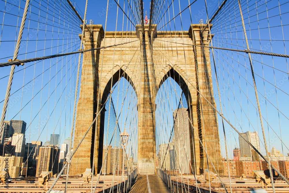 Fototapeta premium Downtown NYC Skyline