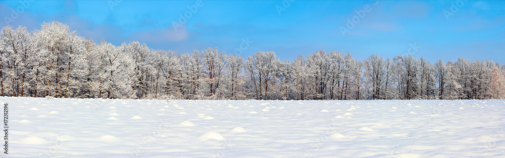 The panoramic view with nice snowy trees, blue sky and textured snow.