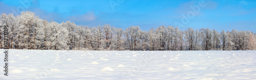 The panoramic view with nice snowy trees, blue sky and textured snow. © Vitalii_Mamchuk