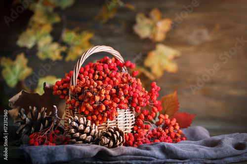 Basket with Rowan and leaves on a wooden table. Autumn still-life.