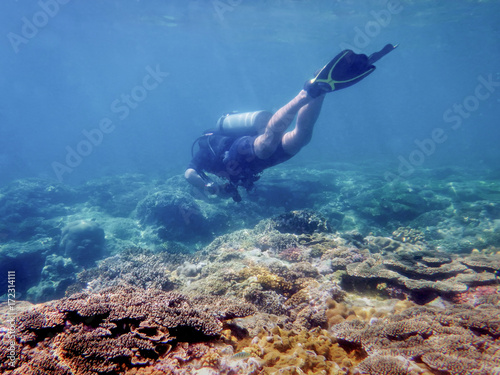 diver under water