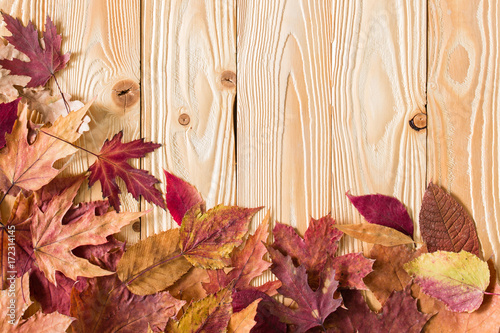 fallen leaves on wooden background, top view